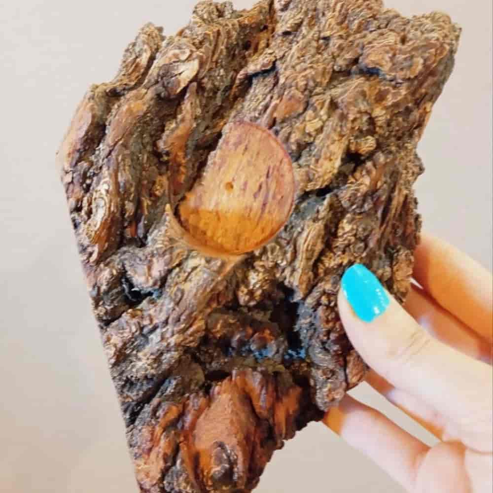 جا شمعی